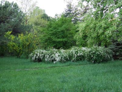 Прикрепленное изображение: sk.jpg